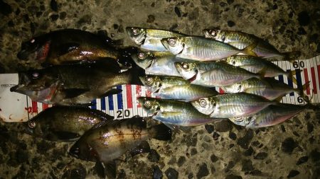 流れの中の変化